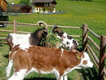 Apartamento Haus Manuela Sonnige Aussicht Mit Bergpanorama