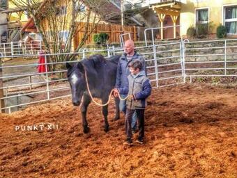 Apartamento Wohnung 8