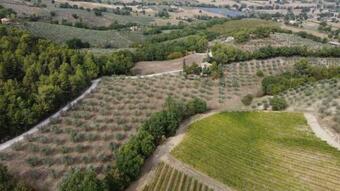 Villetta Immersa Nel Verde