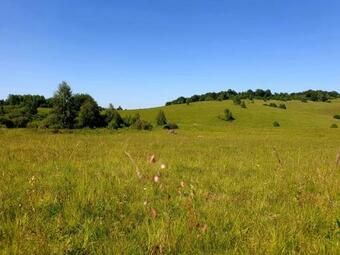 Lodge C?su?ele Din Poian?