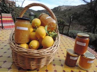 Bed & Breakfast La Figuera