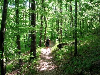 Akzent Hotel Restaurant H�henblick