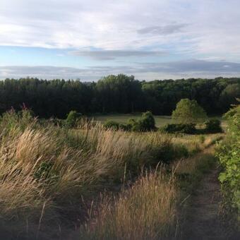 Bed & Breakfast The Old Smithy