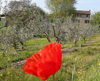 I Vigneti Bed & Breakfast