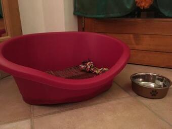 Bed & Breakfast La Stua