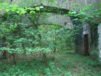 Farmhouse And Barn Conversion
