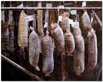 Agroturismo Tenute Del Gheppio