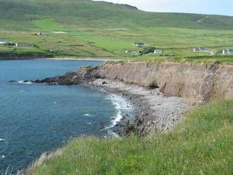 Coill An Rois B&B