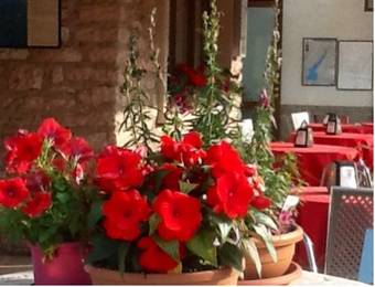 Hotel Albergo Centrale