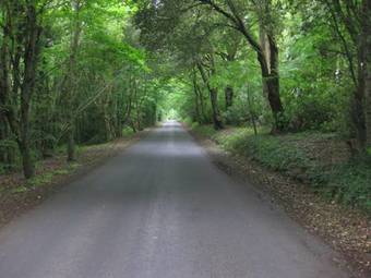 Lough Rynn Townhouse Self Catering