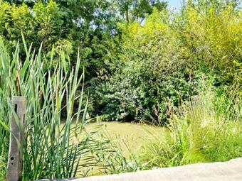 Hostal Barbarens Maison D'hotes