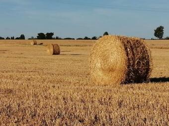 La Case � Jane, Gite Familial En Pays Tarnais