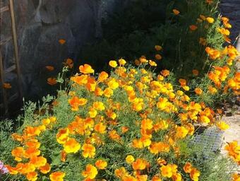 Siedlisko Na G�rce