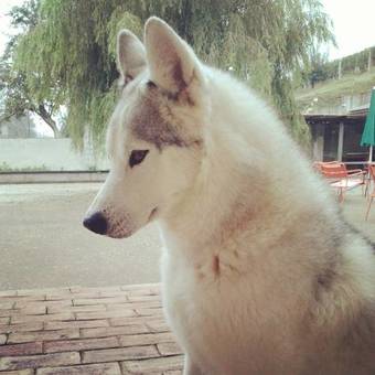 Agroturismo Agriturismo I Vicini Di Cesare