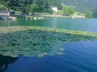 Hotel Albergo Aurora