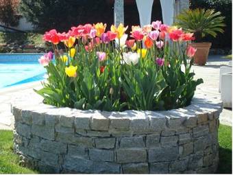 Bed & Breakfast Residenza Le Palme