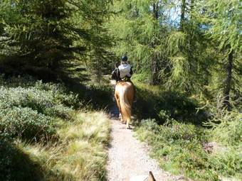 Hotel Reiterhof Edelweiss