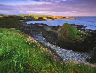 Atlantic Haven Bed & Breakfast