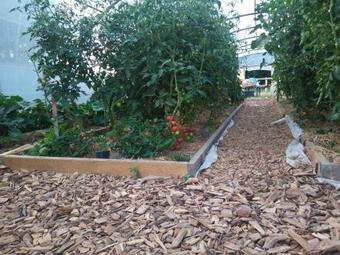 Le Domaine Calme Et S�r�nit�