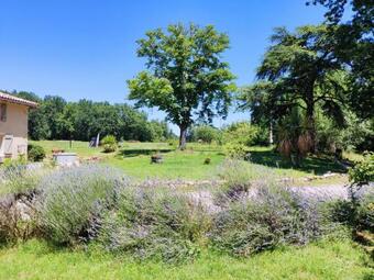 Hostal La Premi�re Vigne