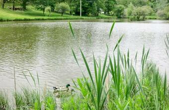 Camping De La Vernhe