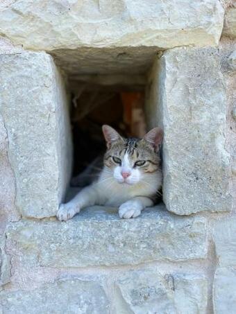 Gite La Gu�rini�re Entre Oc�an Et Campagne !