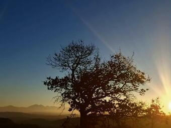 Domaine De La Trille