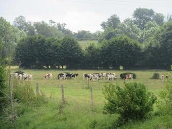 Charmante Maison Avec Chemin�e Et Grand Jardin