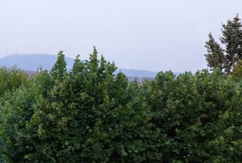 Design Gite En Dr�me Proven�ale