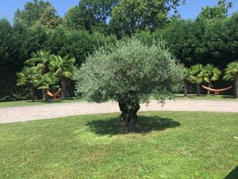 Hostal Villa Althea