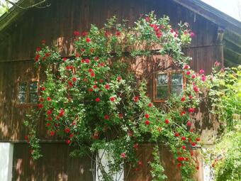 Apartamento See Blick Sappl