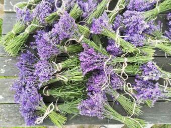 Agroturismo Zagroda Zio?owy Dzbanek