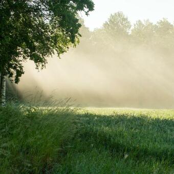 Agroturismo Roseng�rden - Viby B&bi