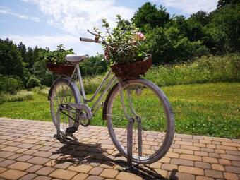 Agroturystyka Damno M?yn