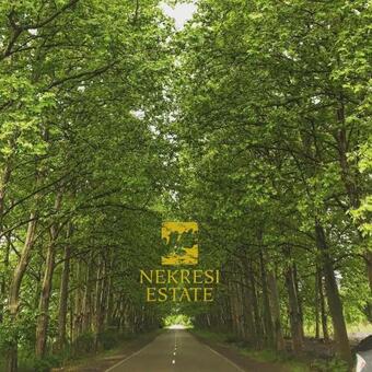 Hotel Nekresi Estate