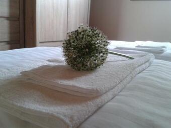 Domki Letniskowe Plusk