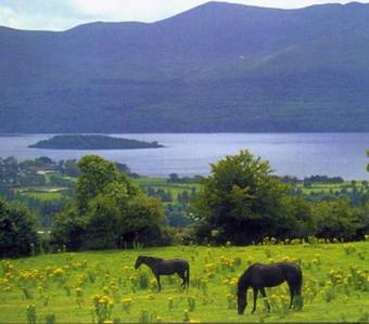 Bed & Breakfast Hillcrest House