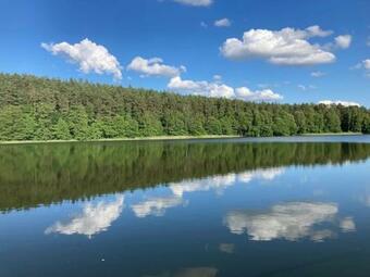 Domki Letniskowe W Sercu Natury