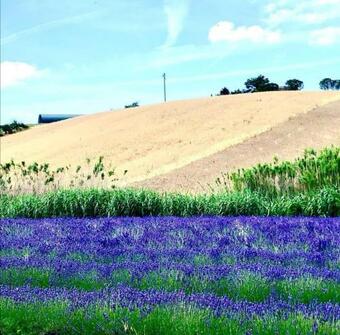 Apartamento Il Borgo Di Santa Luce