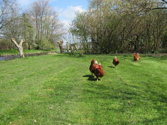 Bed&brood De Straverdonk