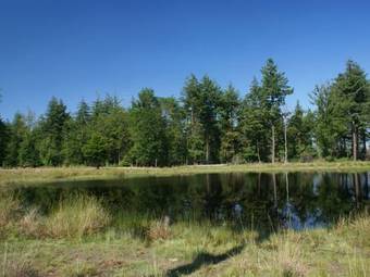 Agroturismo Holiday Home Onder De Eiken Diever