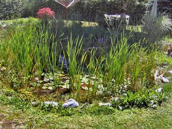 Apartment St Gallenkirch V