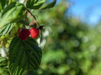 Agroturismo T Patershuys I