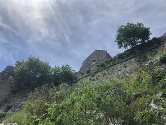 Apartman Petar