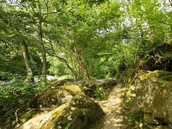 Holiday Home Grundelwald Aywaille