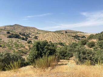 Bed & Breakfast Luz De La Luna