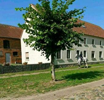 Apartamento Ferienwohnung 2 Schlafzimmer Brandenburg