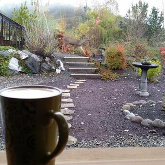 Cougar Canyon Cottage