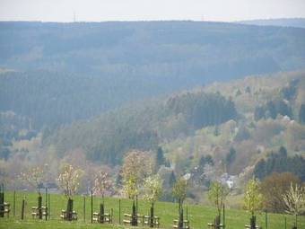 Hotel Le Barbouillon