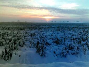 Country Lodge Hotel Moriaanshoofd